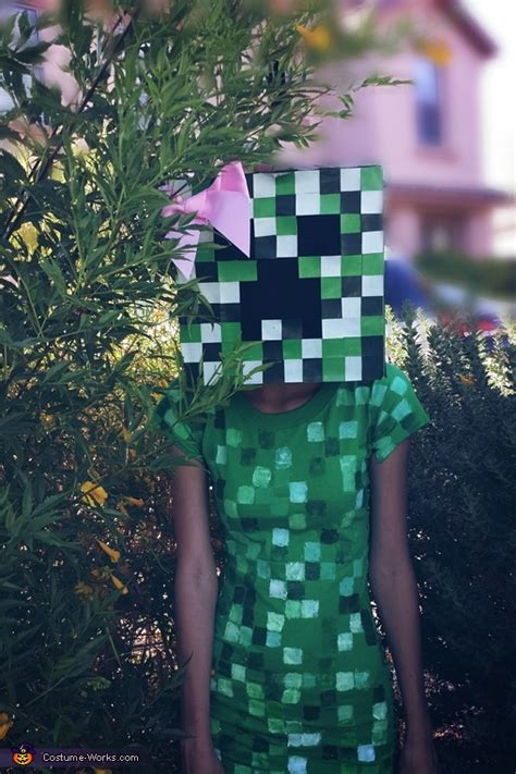 Minecraft Steve And Creeper Couple Costume Photo 24