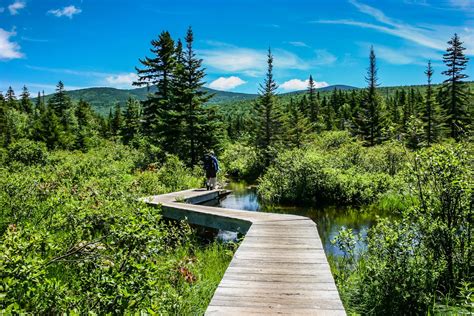 White Mountains Weekend Getaway For Outdoor Lovers