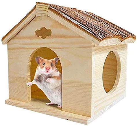 Just 18 Amazon Pets Products For Hamster Owners