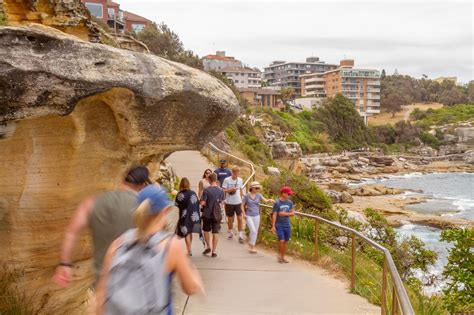 Couple Spotted Having Sex On Cliff Spark Debate Over Whether They Broke Lockdown Protocol