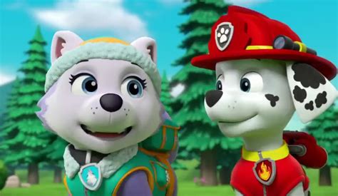 Marshall And Everest Paw Patrol Animated Couples Photo 40131001