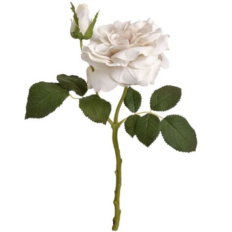 honor white short stem rose no5a interiors