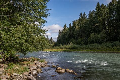 Nisqually River Council Working To Protect And Promote The Nisqually