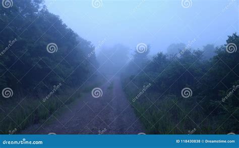 Foggy Morning Stock Photo Image Of Morning Sunrise 118430838