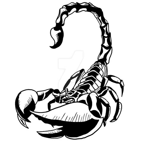 Scorpion Tattoo Design By Lupus Raziel Shadows On Deviantart