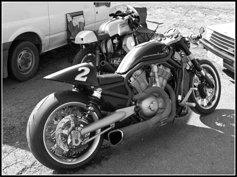 Cafe Racers Old And New Triton Vs Harley Davidson Flickr