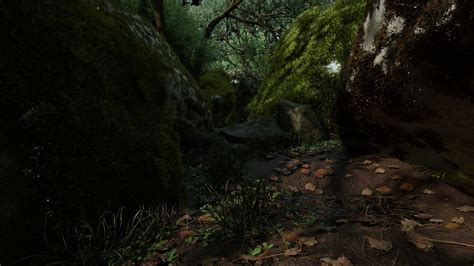 3d Model Realistic Forest Scene Environment Cgtrader