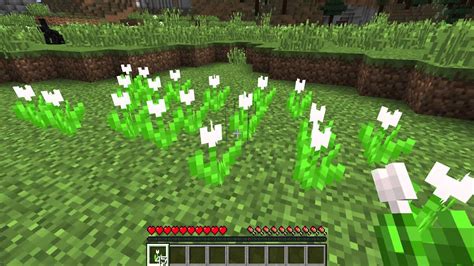 What Are White Tulips Minecraft Flowers Youtube