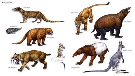 Блогът на valentint :: Encyclopedia Largest prehistoric animals Vol. 1 Vertebrates part1 Mammals ...