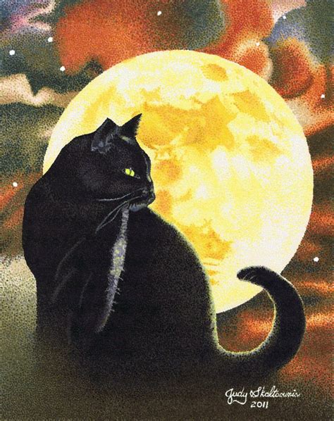 17 Best Images About Cat Art Wow On Pinterest Watercolors Tuxedo