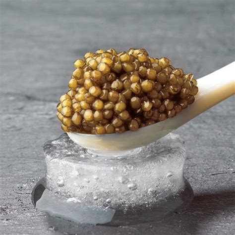 Shah Caviar Royal Premium Gold Sturgeon Caviar Of The Absolute Top
