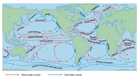Ocean Circulation Understanding Global Change
