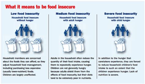 Understand What Food Insecurity Means For American Families Food