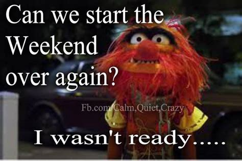 Muppet Friday Meme