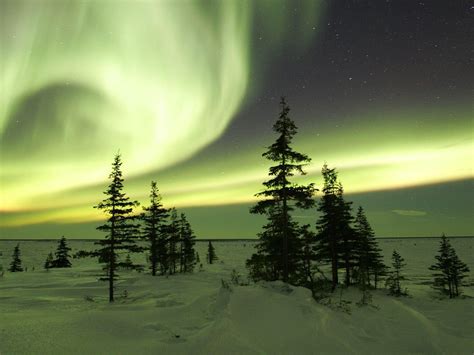 The Northern Lights In Winter Churchill Manitoba Canada Aurora Borealis