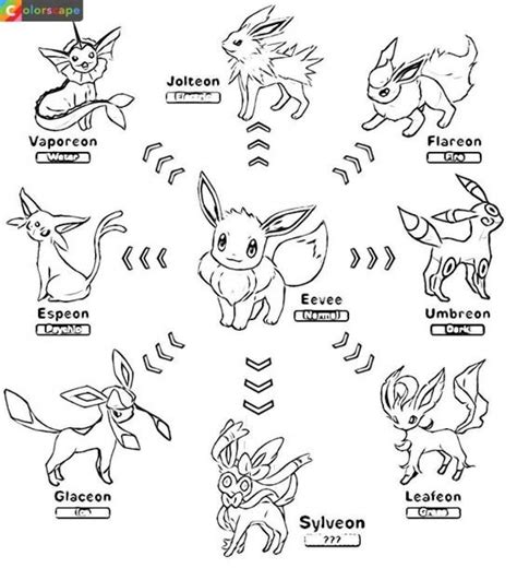 Eevee Evolutions Coloring Pages Coloring Coloringpages Libros Para