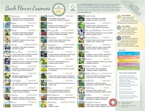 20 Bach Flower Essence Laminated Leaflet Charts Practitioner Resources A1
