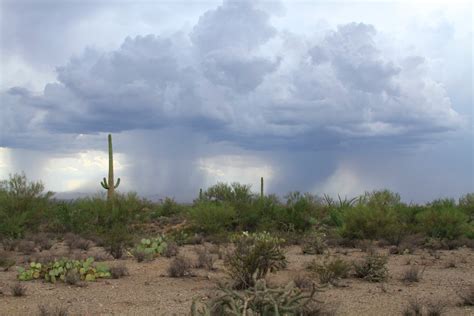 Sonoran Connection Anatomy Of Two Arizona Storms