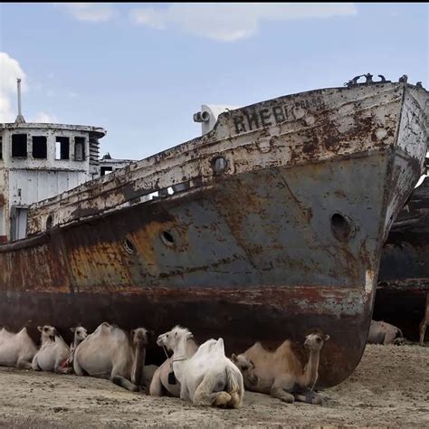 Muynak And The Aral Sea Uzbekistan Travel Guide And Information