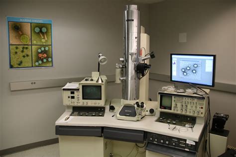 Electron Microscopy Laboratory Usf College Of Marine Science