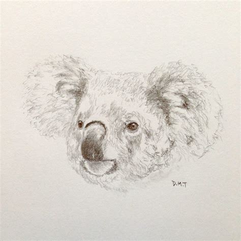 Koala Pencil Oc Rsketches