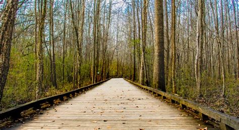 We have an extensive collection of what is a desktop wallpaper? 1000+ Great Green Screen Background Photos · Pexels · Free ...
