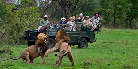 Luxury African Safari Tour African Safari