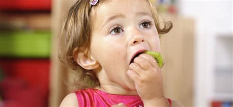 Alimentos preparados, como algunas comidas congeladas y bocadillos. Dieta para aliviar el estreñimiento infantil