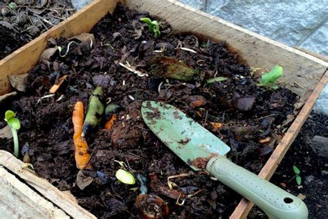 Cómo Hacer Compost En Casa Podcast