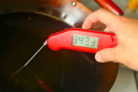 Digital ear thermometers (tympanic thermometers): Wok Skills 101: How to Deep Fry at Home | Serious Eats
