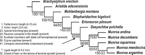 Figure 1 From Inclusion Of Dasyochloa In The Amphitropical Genus Munroa