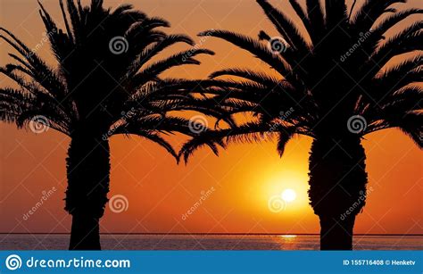 Palm Trees At A Beach On The Background Of A Beautiful Red Sunset And ...