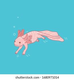 Dibujo de axolotl con dibujos animados vector de stock libre de regalías