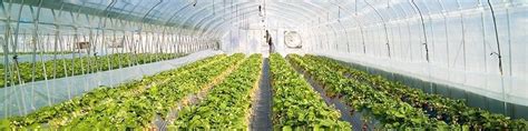 Solution1 Smart Temperature Control In Greenhouses Cities