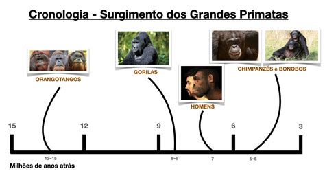 Cronologia Do Surgimento Dos Grandes Primatas Gap Project