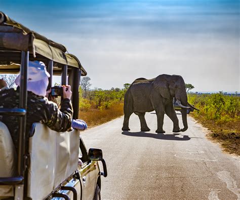7 Day Kruger National Park African Spirit Safaris