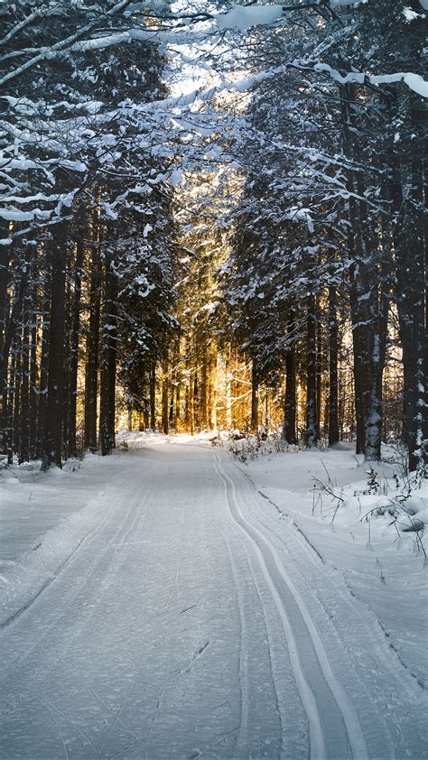 Christmas Snow Road Wallpapers Wallpaper Cave