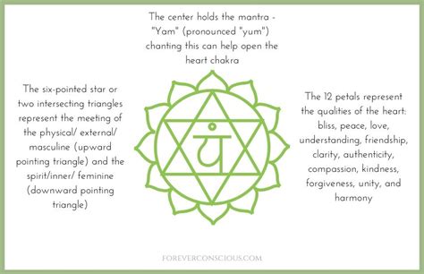 Heart Chakra Symbol Meaning Forever Conscious