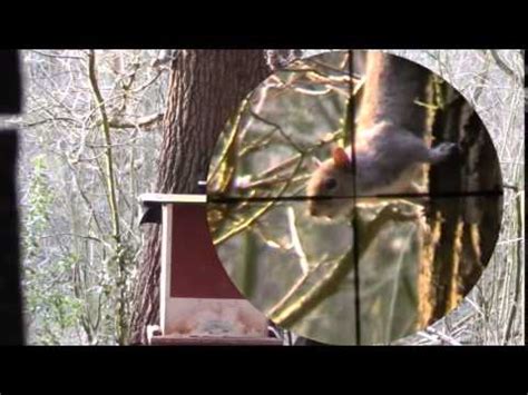 This is the first few nights out with the fx impact.my gear : Pest Control with Air Rifles - Squirrel Shooting - There ...