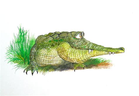 Amorous Alligator Painting By Richard Yoakam Fine Art America