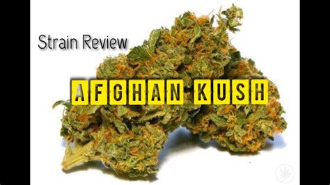 Afghan Kush Weed Strain Review Youtube