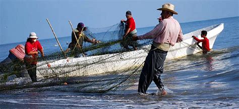 Estrategias De Combate Contra Pesca Ilegal Almomentomx