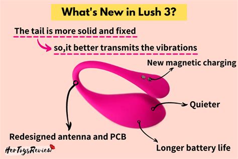 LUSH Review How Good Is The New Lovense Vibe