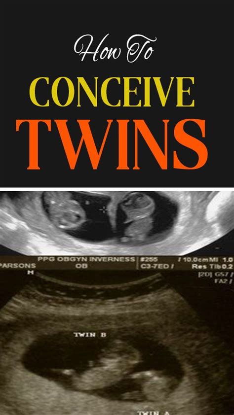 6 Best Ways To Get Pregnant With Twins Naturally How To Conceive Getting Pregnant With Twins