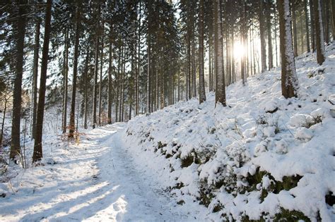 Bekijk meer ideeën over sneeuw, sneeuwwitje, sneeuwwitje disney. 4 plekken om van de sneeuw in de Ardennen te genieten ...