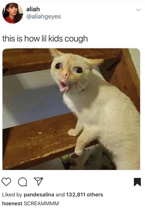 We Need To Talk About This Coughing Cat Meme Because It