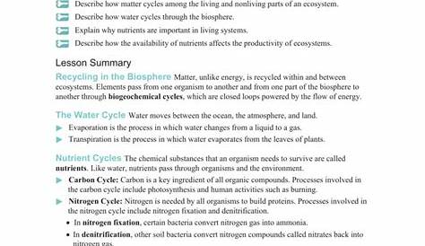 Cycles Of Matter Worksheet Answers — db-excel.com