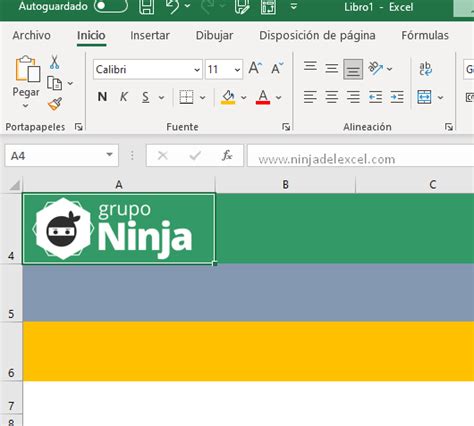 Cómo Insertar colores predefinidos de Excel Ninja del Excel