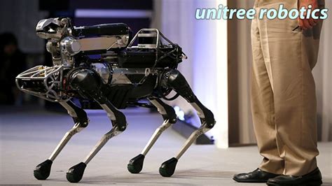 Unitree Roboticss Laikago In Iros Exhibition Close Observation 2020