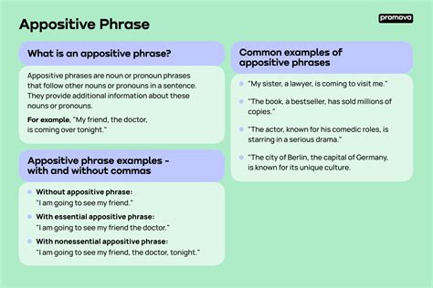 Appositive Phrase Promova Grammar